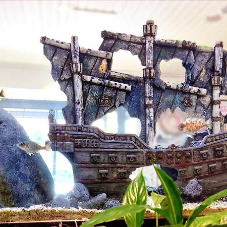 فندق سفيلتوس