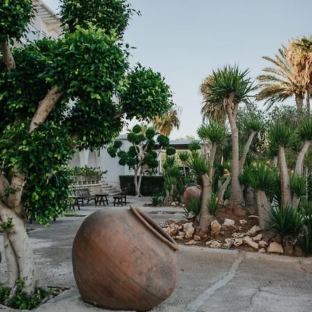 Sveltos Larnaca